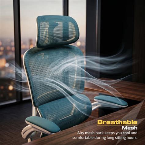 Drogo Ergonomic Office Chair for Work from Home Computer Chair with ...