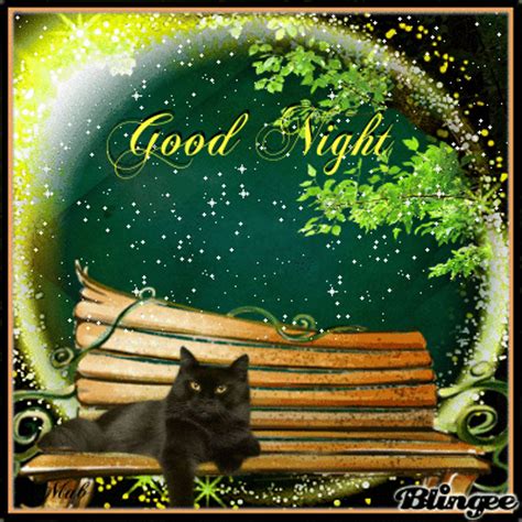 40+ Good Night Nature GIFs: Moonlit Rivers and Majestic Peaks for ...