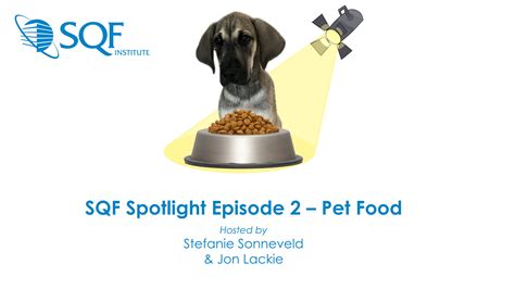 Rezultat imagine pentru SQF Code