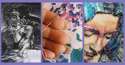 Image result for Cross Stitch Professional Software