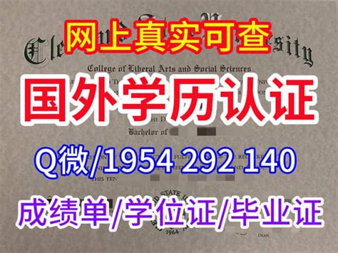 国外大学文凭服务：详解办理蒂赛德大学毕业证书方法 | PPT