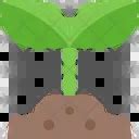 Image result for Sapling Icon