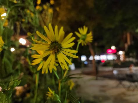 Note 2.0 Ultra Camera Stabilization 的图像结果