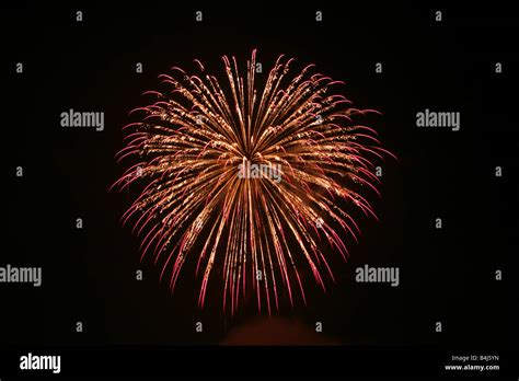 Firework Explosion Fire 的图像结果