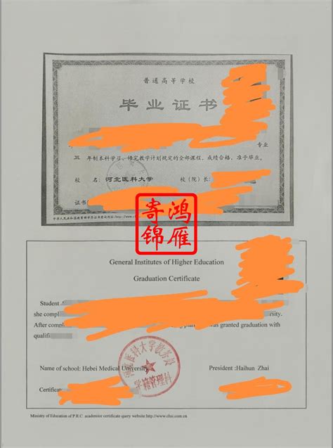 出国留学中介服务DM宣传单(A5)模板在线图片制作_Fotor懒设计