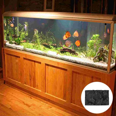 40 Gallon Aquarium Guide: Best Fish, Setup Ideas And, 56% OFF