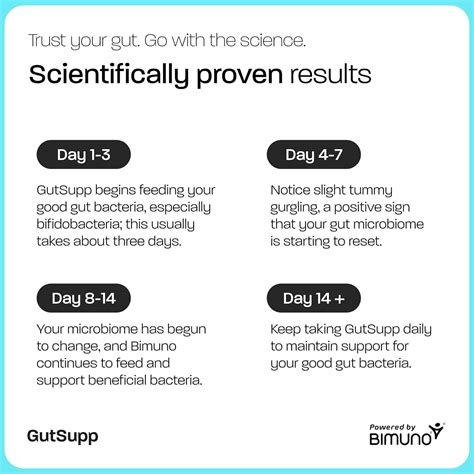 BIMUNO GutSupp Prebiotic Fibre Supplement for Gut Health India | Ubuy