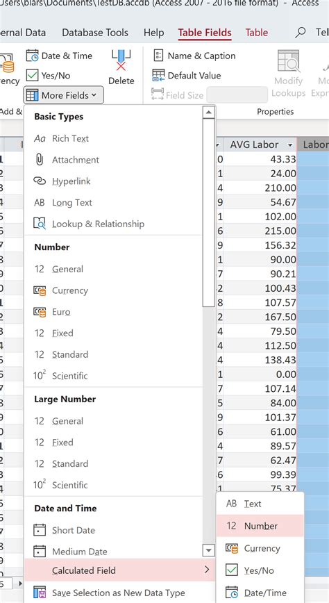 Calculated Field Design View On Access 的图像结果