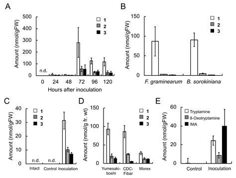 Biosynthesis of Phenylamide Phytoalexins in Pathogen-Infected Barley