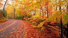 Nature Desktop Wallpaper Fall Background Images by Nature Fall Wallpapers Wallpaper Cave Nature Desktop Wallpaper Fall Background Images