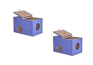 GO7 Wooden Squirrel House, Comfortable & Safe House Pack of 2 : Amazon ...