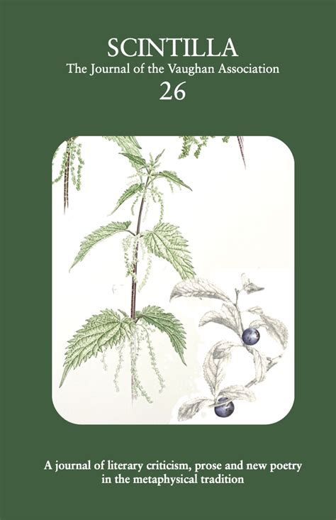 Image result for Scintilla Software