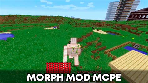 Image result for Morph Evolution Mod Minecraft