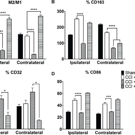 Image result for Flow Cytometry of Microglia Videotutorial