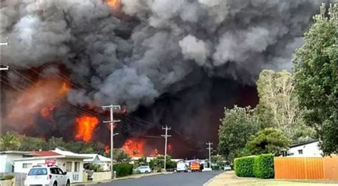 澳大利亚的森林大火摧毁了该国五分之一的森林 - 听力课堂