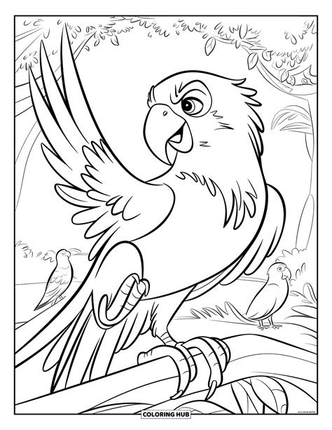 Image result for Parrot Coloring Pages
