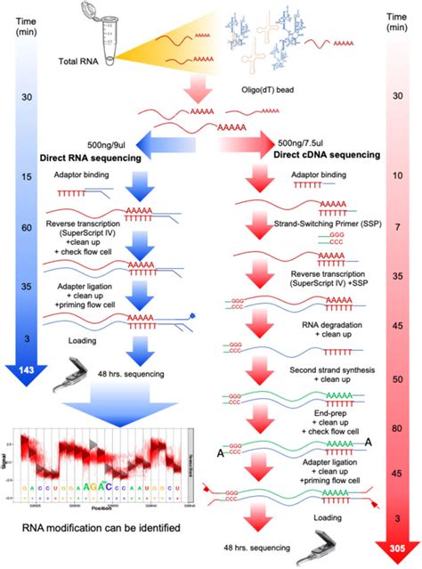 RNA Sequencing Method 的图像结果