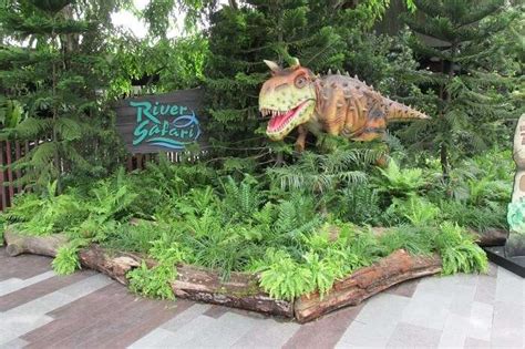 3 Things To Do In Crawford For Birthday When In Singapore