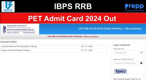 IBPS RRB Admit Card 2024 Out; Download PET Call Letter