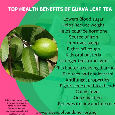 Health Benefits Of Cloves And Guava Leaves at Anthony Barajas blog