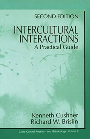 Intercultural Interactions: A Practical Guide (Cross Cultural Research ...