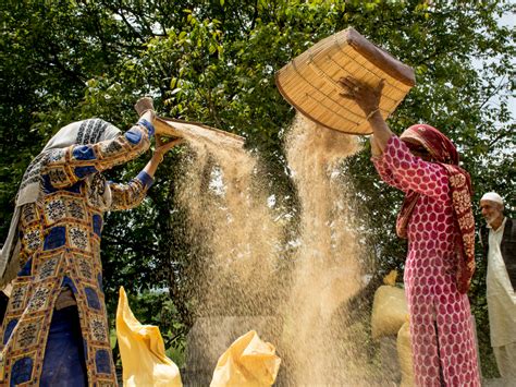 Separation method-II — lesson. Science State Board, Class 6.