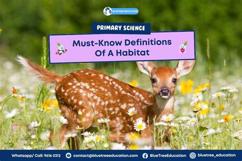 Image result for Habitat Example