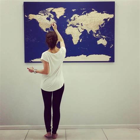 Travel Pin Map 的图像结果