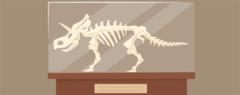 给你一堆恐龙化石, 你改如何辨别它是雌是雄? 科学家给出答案