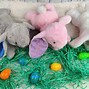 Image result for Easter Stuffed Animals