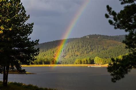 Are There Mosquitos in Angel Fire, NM? Angel Fire Lifestyle Guide