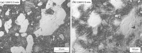 Image result for DIC Microscopy Tutorial