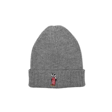 Badger Bear Beanie – Wisconsin Design Team