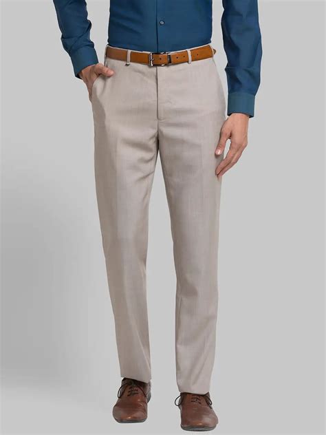 Men Fawn Contemporary Fit Solid Polyester Blend Trouser – MyRaymond