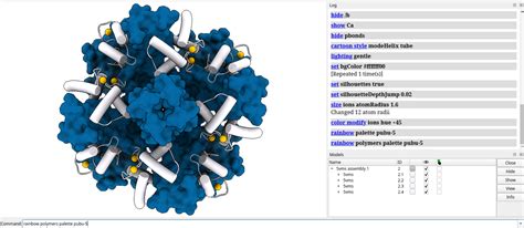 Chimerax SYM Function 的图像结果