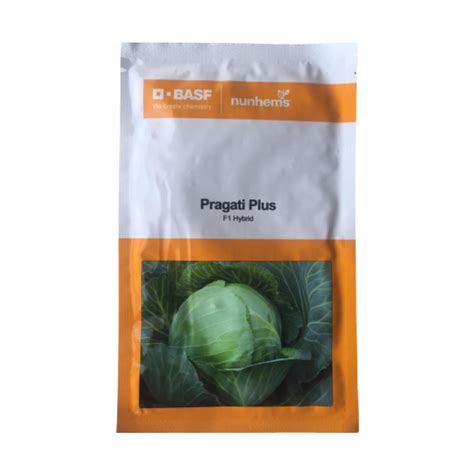 Pragati Plus Cabbage Seeds - Nunhems | F1 Hybrid | Buy Online Now ...