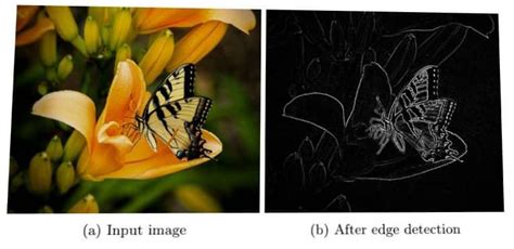 Image result for Program for Edge Detection Using Gradient Operators in Python