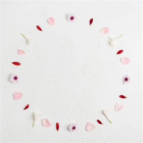 Postura plana de sortimento de pétalas de primavera | Foto Grátis