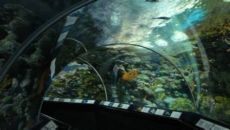 【携程攻略】上海上海海洋水族馆景点,上下共三层，海洋生物品种丰富，观光隧道名副其实，绝对折回票价