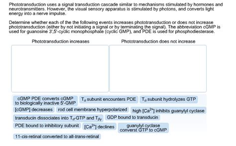 Image result for Signal Transduction Cascade Animation