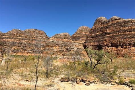 Bluey Travel - Broome | Tripadvisor