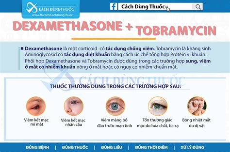 Hướng dẫn cách dùng thuốc kết hợp Dexamethasone và Tobramycin - Benh.vn
