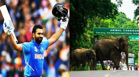 BTC Polls: Hagrama Mohilary & Former NDFB Leader Saoraigwra File ...