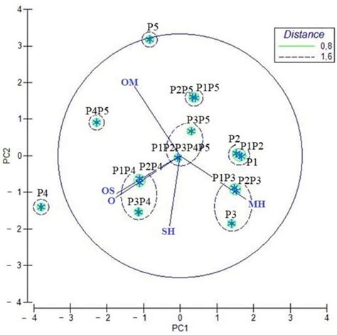 Reuse of Food Waste: The Chemical Composition and Health Properties of ...