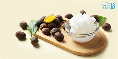 Shea Butter Benefits for Skin Care:The Beauty Sailor