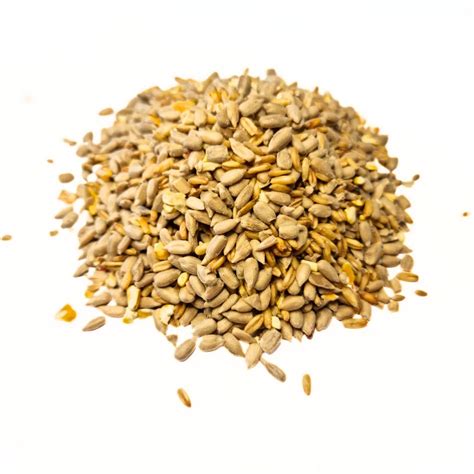 No Mess Bird Seed - The Perfect Blend For Those Messy Eaters! – Home ...