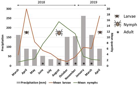 Diversity and Seasonal Dynamics of Ticks on Ring-Tailed Coatis Nasua ...