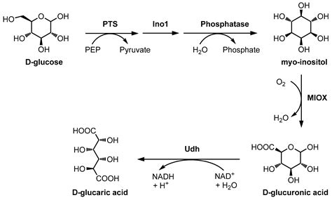 Production of Hexaric Acids from Biomass