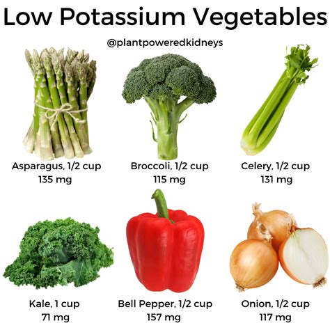 Is Celery Good for Kidneys? The Facts and Fiction