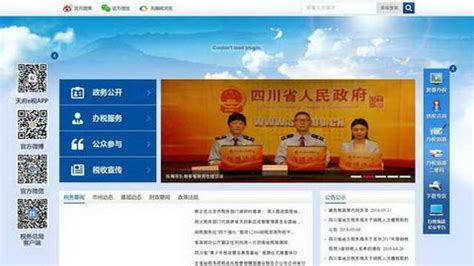 四川省税务局官网，四川省税务局网上申报系统登录